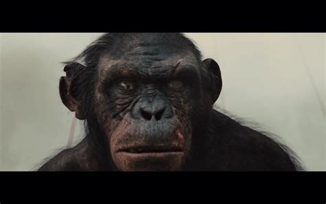 Image - Koba.png | Planet of the Apes Wiki | FANDOM powered by Wikia