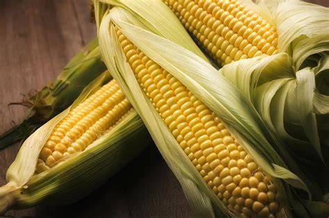 When and How to Harvest Corn | Gardener’s Path