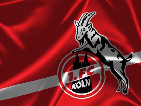 1.Fc Köln Logos : Signetfliese Geißbock weiß | Zuhause & Unterwegs ...