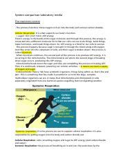 Exploring the Respiratory System: Functions and Processes | Course Hero