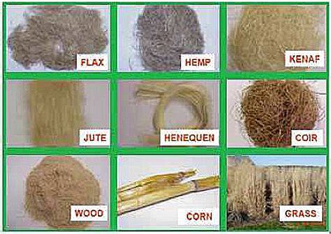 A review on the characterisation of natural fibres and their composites after alkali treatment ...