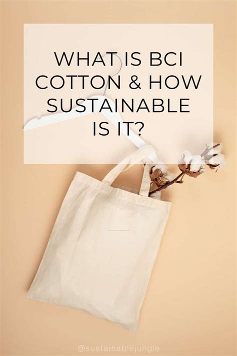 What Is BCI Cotton & How Sustainable Is It?