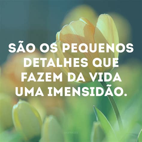 50 frases curtas para foto lindas e cheias de atitude - 42 Frases | Frases curtas para fotos ...