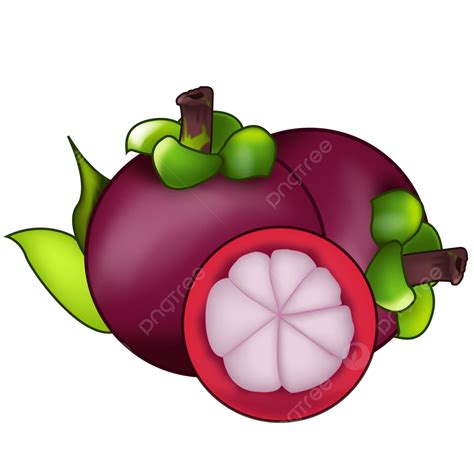 Manggis Buah Segar Png Buah Buahan Manggis Buah Png Y Vector Para ...