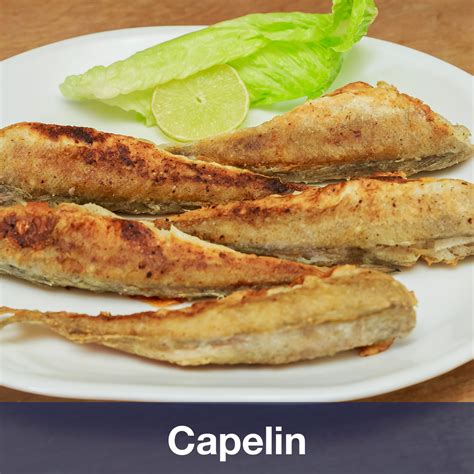 Capelin - The Fishin' Co.