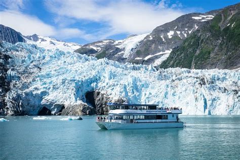 MAJOR MARINE TOURS - PRINCE WILLIAM SOUND GLACIER CRUISE (Whittier ...