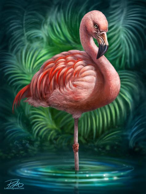 Flamingo - LaMontagne Art