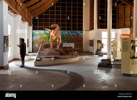 Malawisaurus, museum, Karonga, Malawi Stock Photo - Alamy