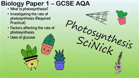 Photosynthesis /// Bioenergetics Biology AQA GCSE (2020 1-9) Paper 1 ...