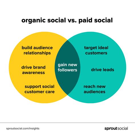 Organic vs. Paid Social Media: A Hybrid Strategy That Works