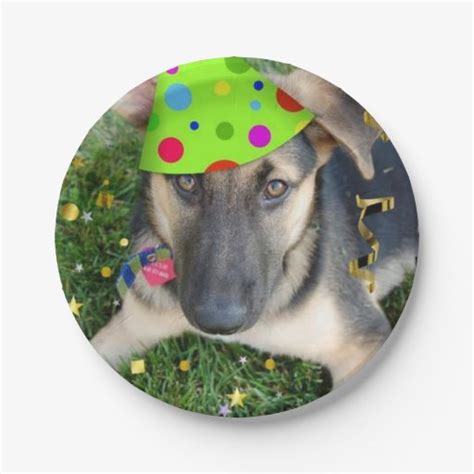 Birthday Party German Shepherd Paper Plate | Zazzle