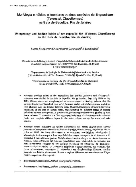 (PDF) Morfologia e hábitos alimentares de duas espécies de Engraulidae (Teleostei, Clupeiformes ...