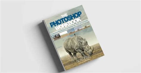 Best Photoshop Books to Read for all Beginners - ADMEC Multimedia Institute