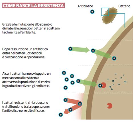 Batteri resistenti agli antibiotici — MetiHM