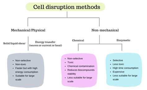 Microalgae Cell Disruption Methods | Encyclopedia MDPI