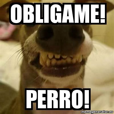 Meme Personalizado - obligame! perro! - 30390256