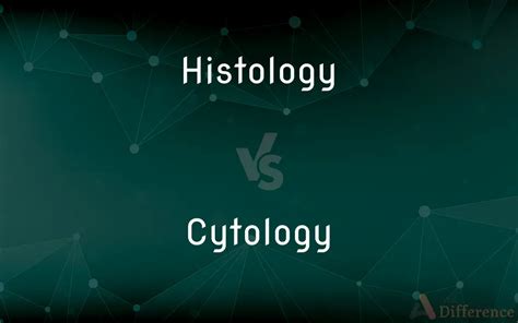 Histology vs. Cytology — What’s the Difference?