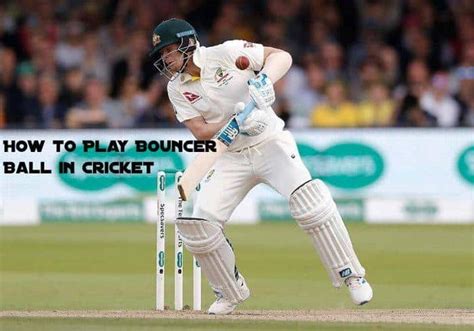 How to Play Bouncer Ball in Cricket | CricketBio