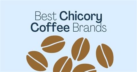 Top 6 Chicory Coffee Brands We Recommend | Whole People