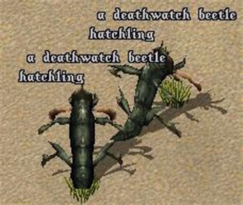 Deathwatch Beetle Hatchling - UOGuide, the Ultima Online Encyclopedia