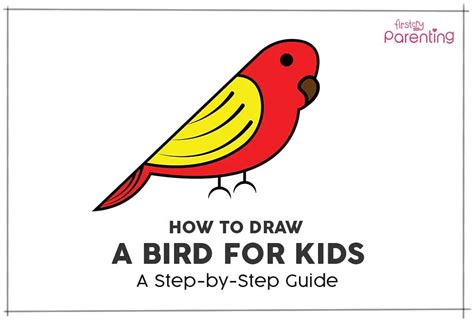 Parrot Drawing For Kids Step By Step