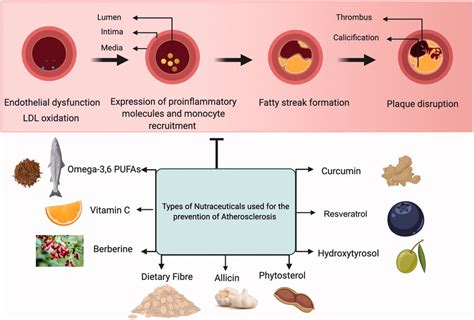 Nanotechnology and targeted drug delivery: Schematic representation of... | Download Scientific ...