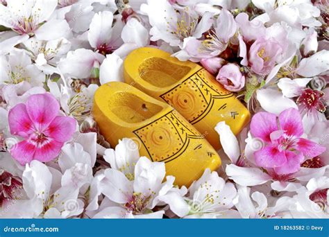 Clogs with Flowers from Holland Stock Photo - Image of flora, clogs: 18263582