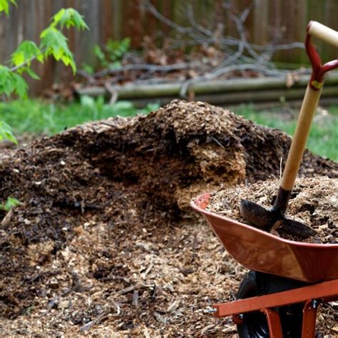 Can You Compost Mulch? The Things You Should Know First – Flourishing ...