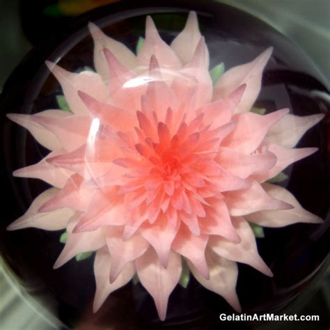 Gelatin Art Tool For Making Flowers In Clear Gelatin | Gelatin Art Market