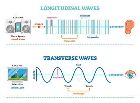 Types of longitudinal, transverse and surface waves examples outline ...