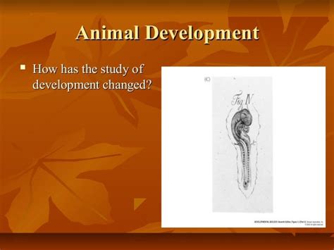 Developmental biology