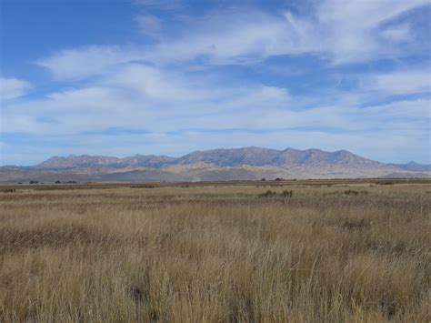 Camas Prairie - Idaho Sights and Sounds