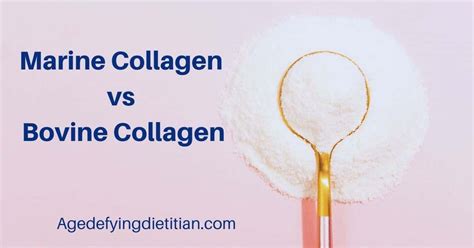 Marine Collagen vs Bovine Collagen - Which One is Right for You?