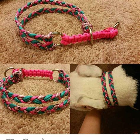 15 Best DIY Pet Collars that Look Fantastic