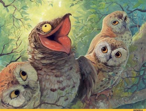 Pin by odva D on Cказки - Сказки Ежиного леса | Bird art, Animal art, Potoo bird