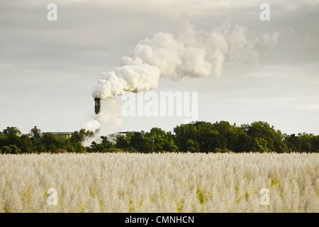 Sugar mill and sugar cane field, Mhlume, Swaziland Stock Photo: 85910297 - Alamy