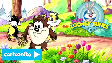 Baby Looney Tunes | Easter Egg Hunt | Cartoonito - YouTube