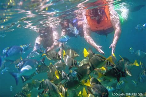 Snorkeling Cabo San Lucas with Cabo Expeditions