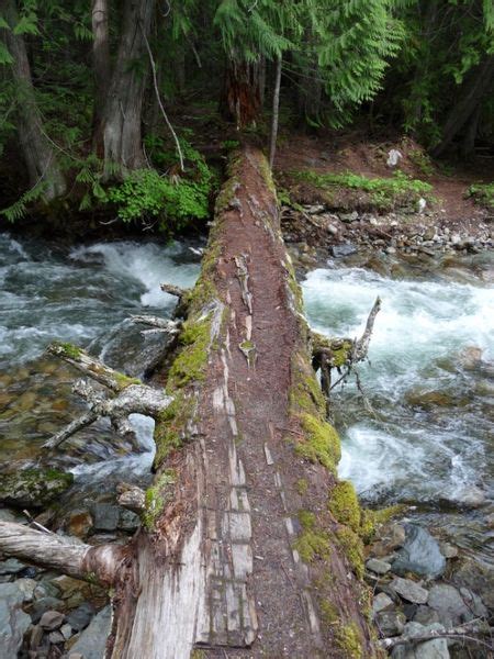 Crossing 1st Log Bridge - Libby News, Montana