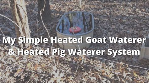 My Simple Heated Goat Waterer & Heated Pig Waterer System - YouTube