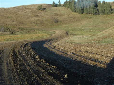 We Discover Canada And Beyond: Cypress Hills Interprovincial Park to Magrath, Alberta