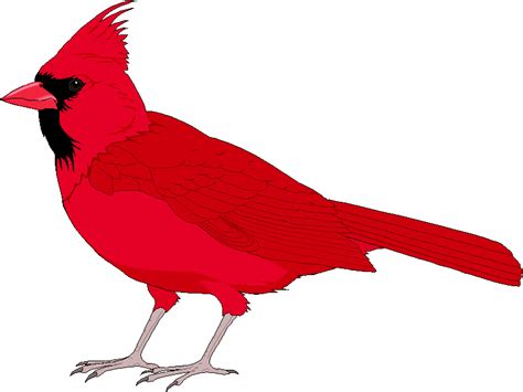 Cardinal Template Cut Out at tankiaanblog Blog