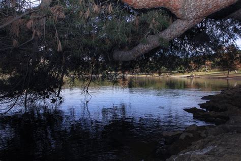 Puddingstone Reservoir Map - California - Mapcarta