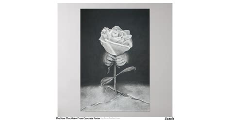 the_rose_that_grew_from_concrete_poster-rfd5f45704bdb4bf88073f3f130fa2de5_i7ibk_8byvr_1200.jpg ...