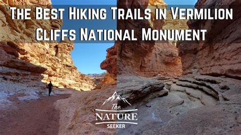 The 9 Best Vermilion Cliffs National Monument Hiking Trails