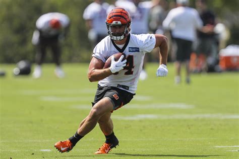 Cincinnati Bengals: 9 hardest cuts for final projected 53-man roster