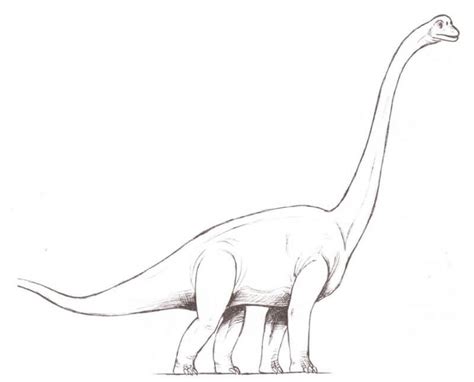 How to draw Brachiosaurus with a pencil step-by-step drawing tutorial.