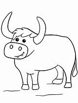 Ox Coloring Pages sketch template