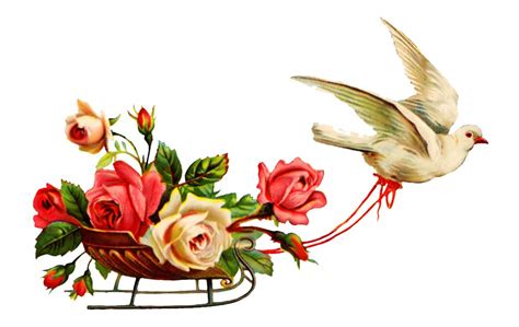 Sympathy Flowers Clipart