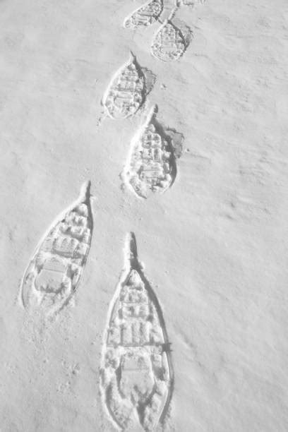 Snowshoeing Stock Photos, Pictures & Royalty-Free Images - iStock